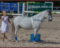 1-13JUIN 0963